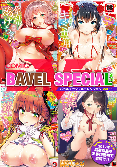 COMIC BAVEL SPECIAL COLLECTION 【VOL．11】のタイトル画像
