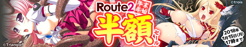Route2 ߻Ⱦۥ ý