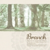 Rewrite Arrangement Album 'Branch'