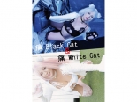  Black Cat &  White Cat