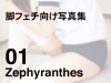 Zephyranthes 01